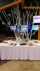 20150128_181956_resized