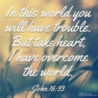 01a00946afca1086f5620ae431718a17